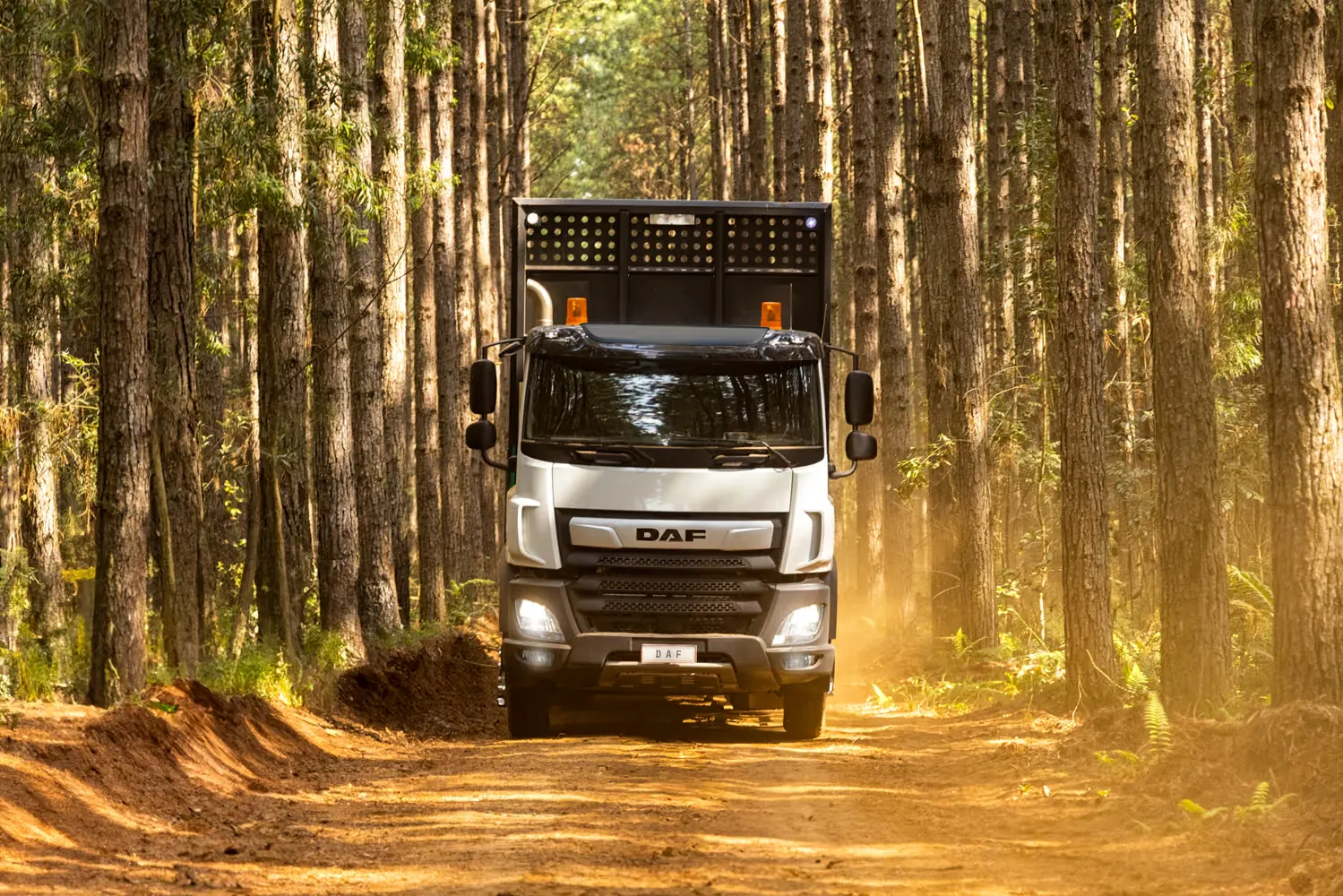 DAF CF Florestal, Florestal e Agronegócio